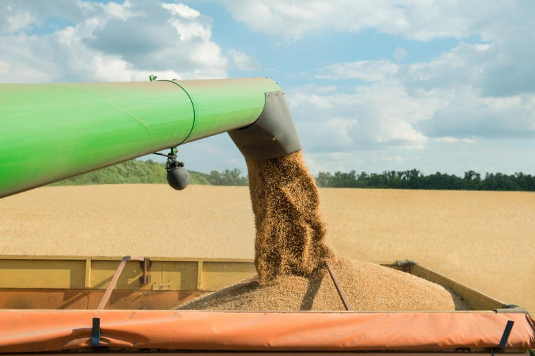 В России усилили контроль за поставками зерна в Казахстан